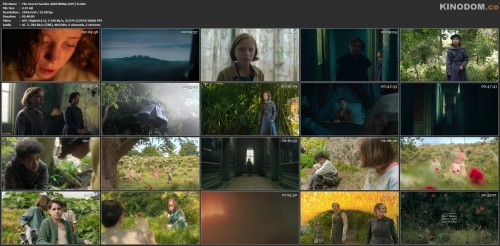 The Secret Garden 2020 BDRip (AVC) D.mkv