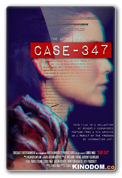 Дело 347 / Case 347 2020 WEB-DLRip