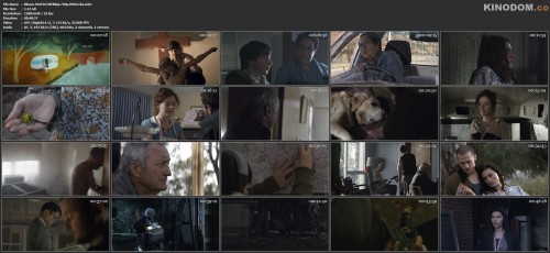 Bloom.S01E03.WEBRip.720p.HDRezka.mkv