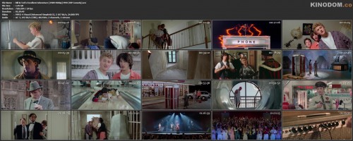 Bill & Ted's Excellent Adventure [1989 HDRip] MVO (ViP Comedy).avi