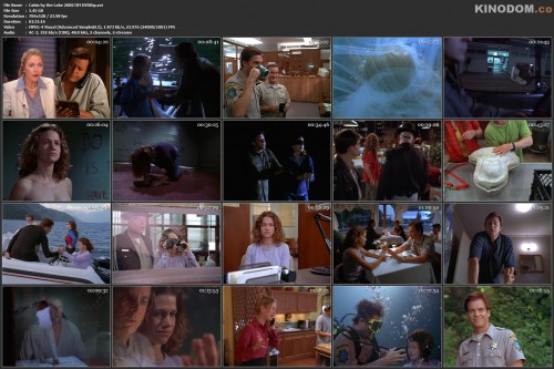 Cabin by the Lake 2000 ПМ DVDRip.avi
