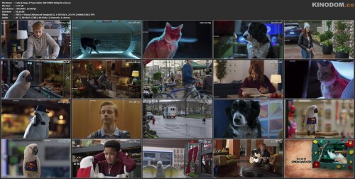 Cats & Dogs 3 Paws Unite 2019 WEB DLRip lm rek.avi