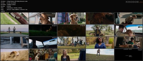 A.Dogs.Purpose.2017.Bdrip.Hdreactor 2.mkv