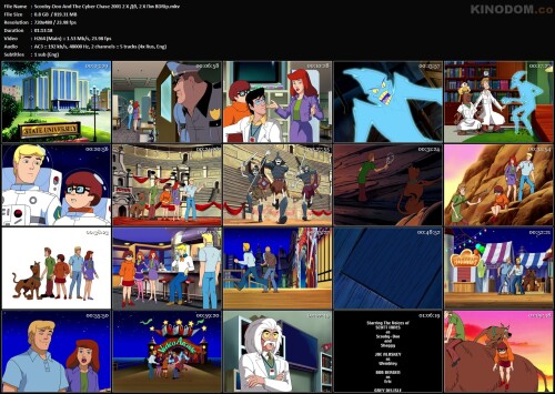 Scooby Doo And The Cyber Chase 2001 2 X Дб, 2 X Пм BDRip.mkv