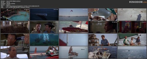 Jaws 2 [1978 BDRip] 4x AVO.avi