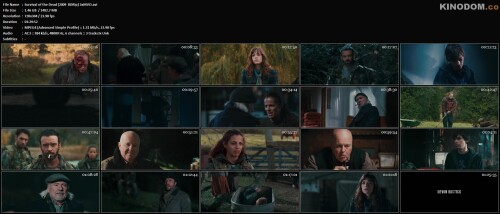 Survival of the Dead [2009 BDRip] 2xMVO.avi