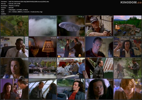 1x01 The Switchman {DVD Rip} [ВИЗГУНОВ]+[1001cinema]+[ENG].mkv