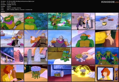 07. The Incredible Shrinking Turtles[cartoons.flybb.ru].avi