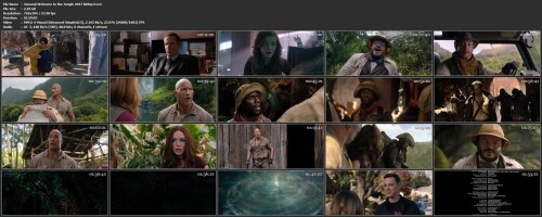 Jumanji Welcome to the Jungle 2017 BDRip D.avi