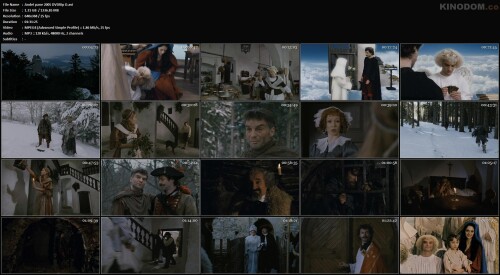 Andel pane 2005 DVDRip D.avi