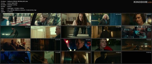 Halloween 2018 ДБ, ПМ BDRip (AVC).mkv