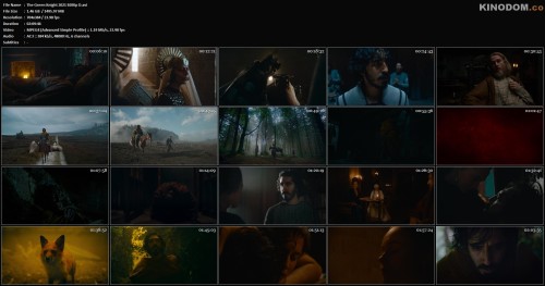 The Green Knight 2021 BDRip D.avi