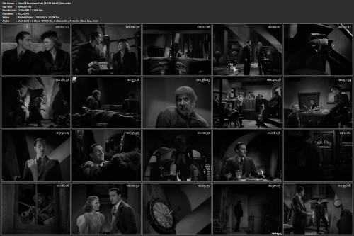 Son Of Frankenstein [1939 BdriP] Dvo.mkv