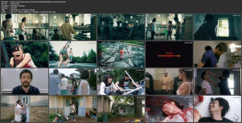 Kamera Wo Tomeru Na One Cut Of The Dead [2017 Bdrip] 2 X Mvo Avo Vo.mkv