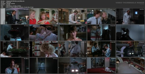 Chopping Mall 1986 (Визгунов) BDRip.mkv