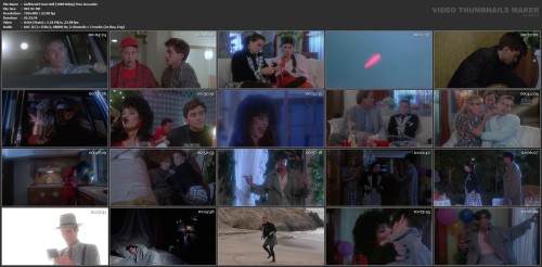 Girlfriend From Hell [1989 Bdrip] Mvo Avo.mkv