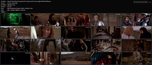 Sword of the Valiant The Legend of Sir Gawain and the Green Knight 1984 ПМ DVDRip.avi