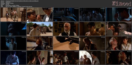 El Espinazo Del Diablo (The Devil's Backbone) 2001 Дб, Пм, Ап (Визгунов) BDRip.mkv