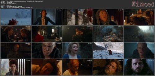 Mary Shelley's Frankenstein (Remastered) 1994 Дб, Пм, Пд, 3 X Ап BDRip.mkv