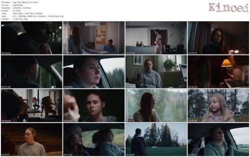 Dual 2022 HDRip (AVC) D.mkv