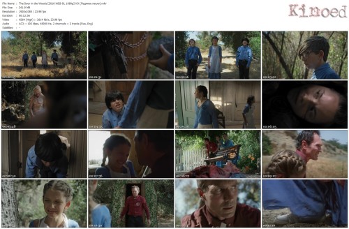 The Door in the Woods [2018 WEB DL 1080p] VO (Ледяное пекло).mkv