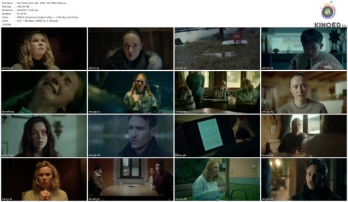 The Darker the Lake 2022 ПМ WEB DLRip.avi