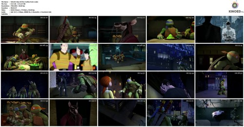 S01e01 Rise.Of.The.Turtles Part.1.mkv