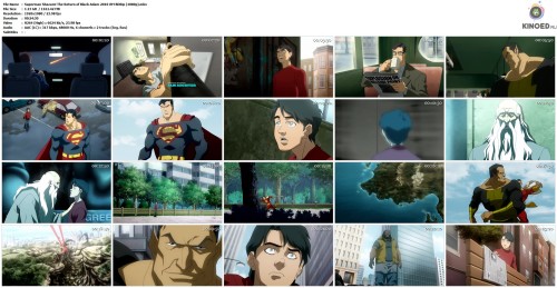 Superman Shazam! The Return of Black Adam 2010 ЛМ BDRip (1080p).mkv