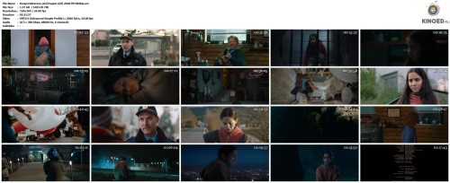 Dragevokterens jul (Dragon Girl) 2020 ПМ BDRip.avi