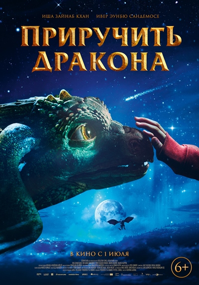 Приручить дракона / Dragevokterens jul (Dragon Girl) / 2020 BDRip