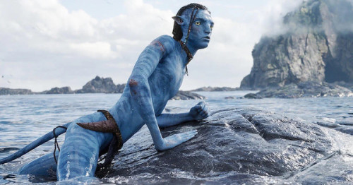 still avatar2 3