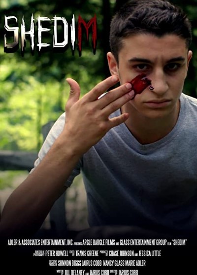 Шедим / Shedim / 2020  WEB-DLRip