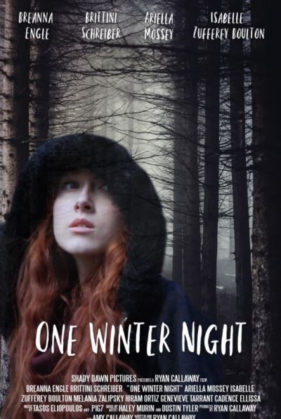 Однажды зимней ночью / One Winter Night (2019)